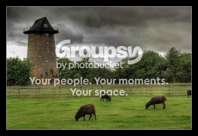 Blacksheep.jpg