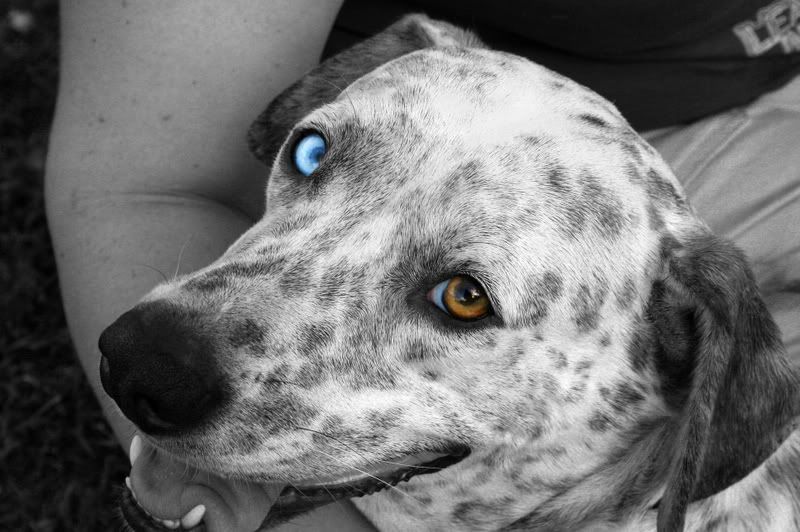 IMG_1522BW.jpg