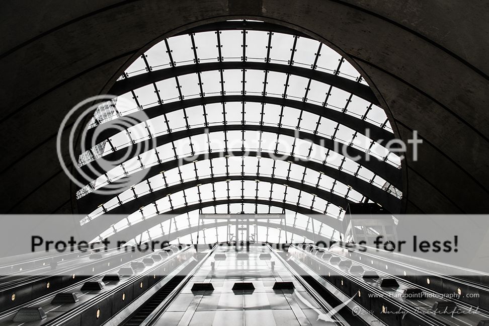 _DSF0491_zps54f06d8e.jpg