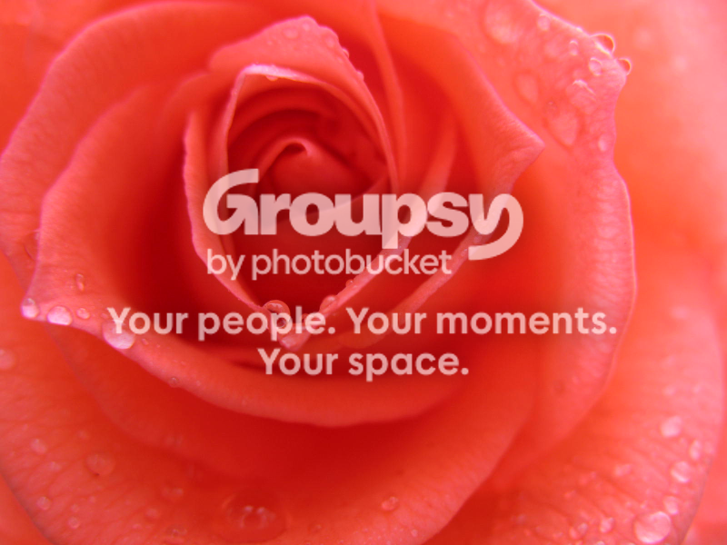 closeflower.png