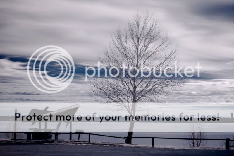 lake1x.jpg