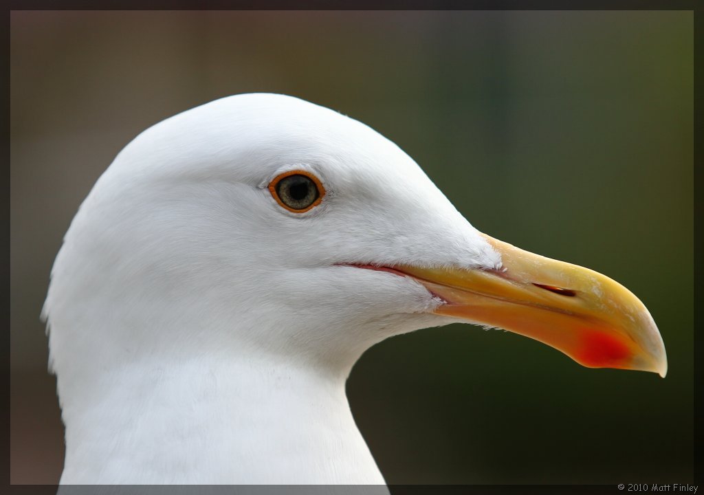 5063834182_942dee455c_o.jpg