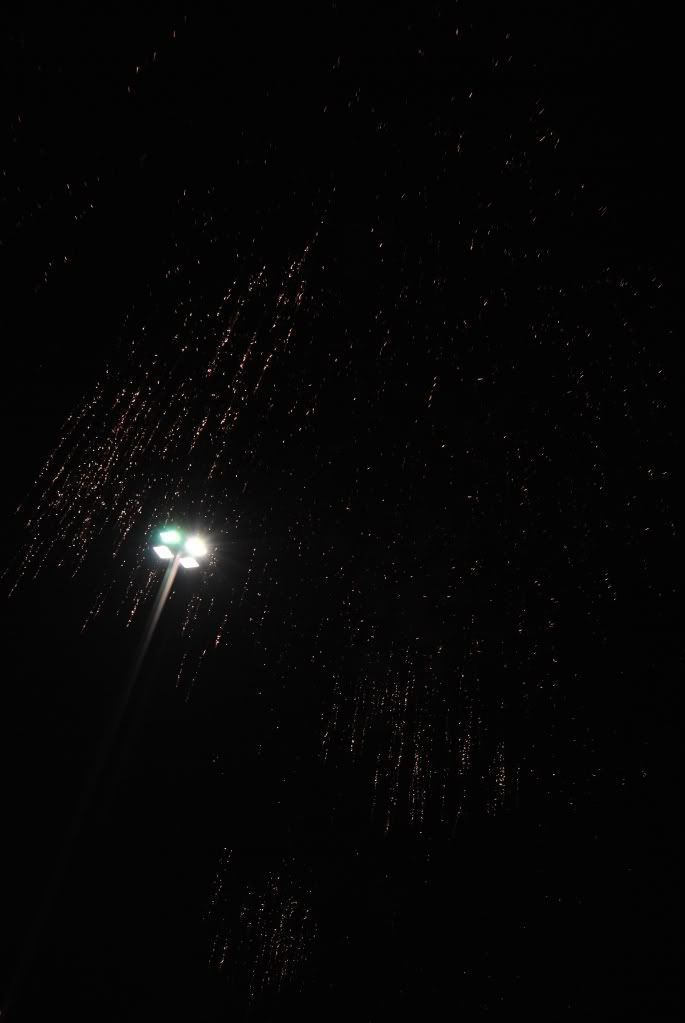 07July4th2010.jpg