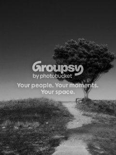 TREEEEEE-1.jpg