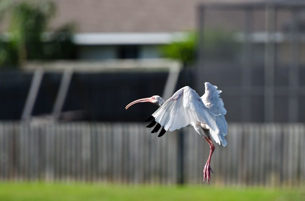 20110930-DSC_7406.jpg