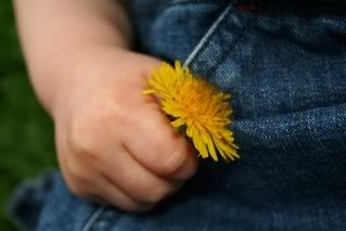 jaceyflowerhand.jpg