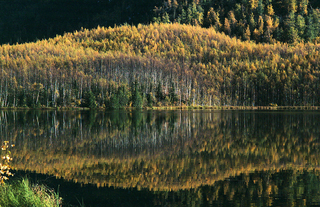 akmirrorlake.jpg