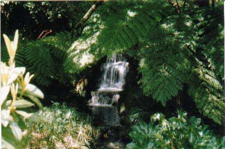 Waterfall.jpg