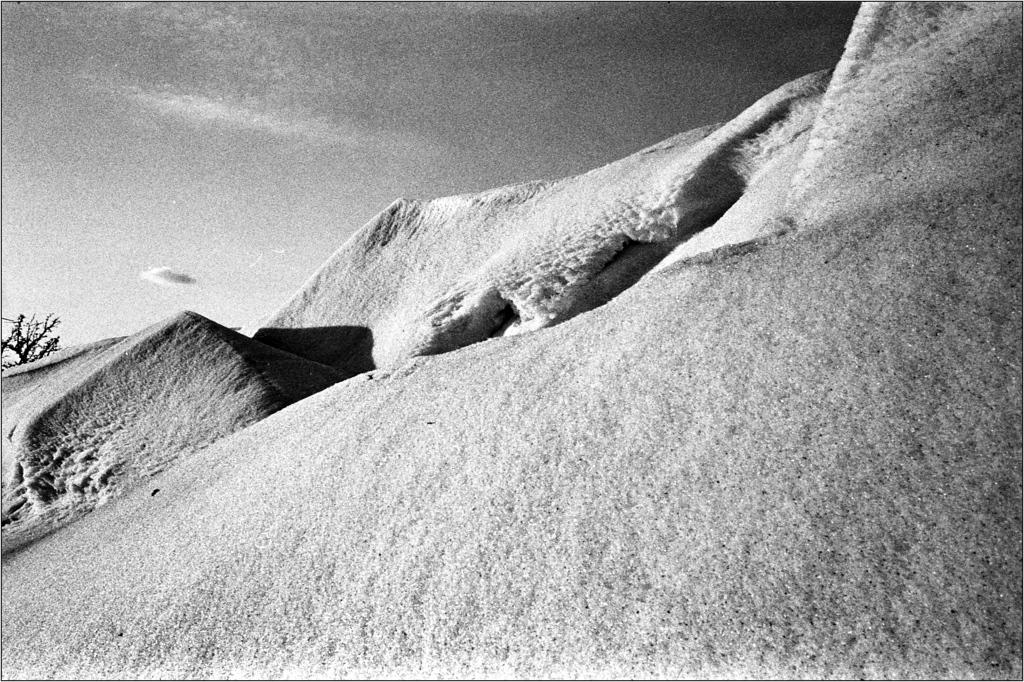 scan435-XL.jpg