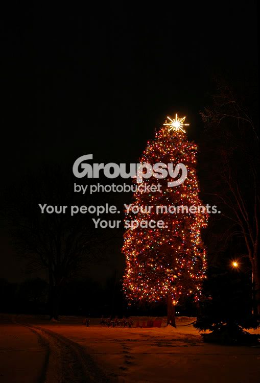 christmastreenite2ppf.jpg
