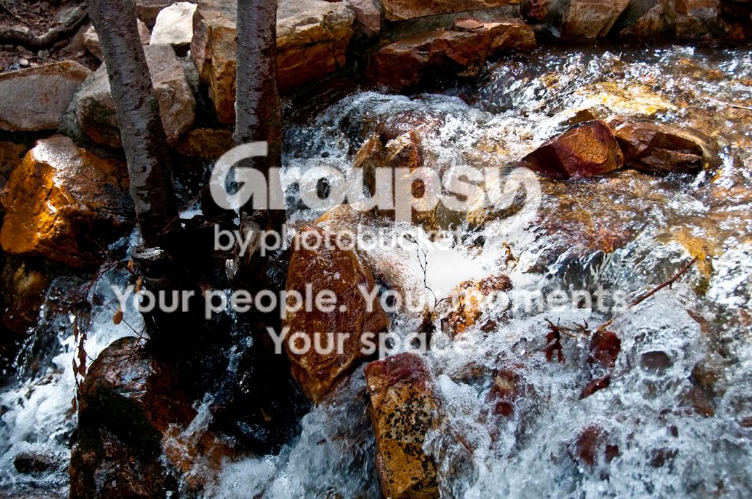 Water.jpg