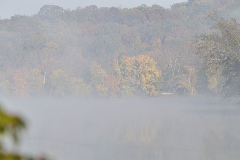fog1.jpg