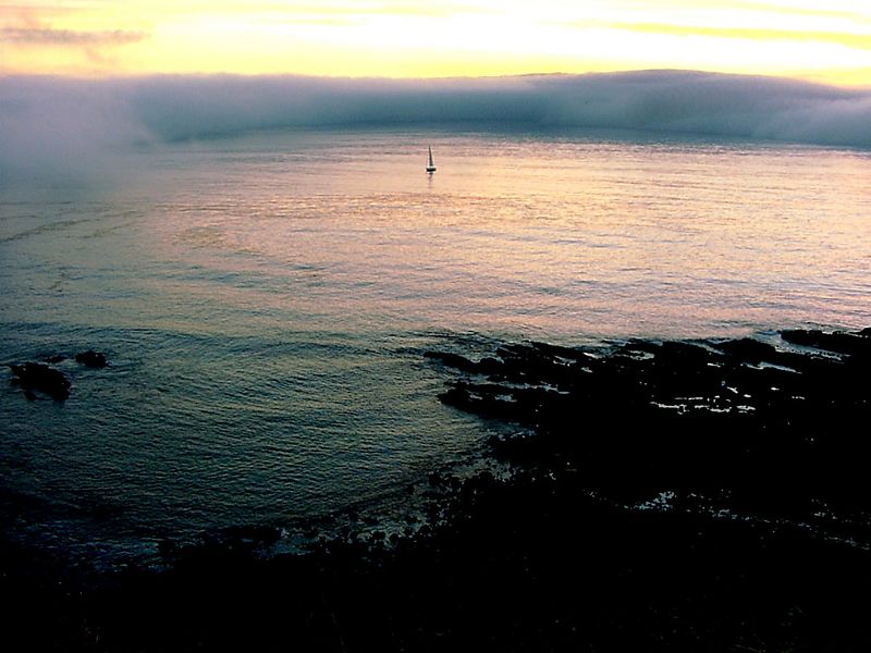 Fog-1-UE-L.jpg