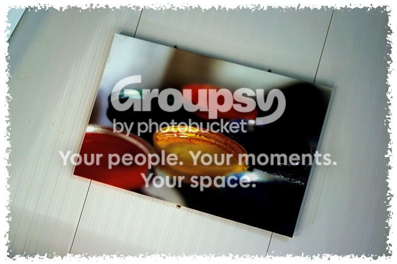 Photo-of-a-Photo.jpg