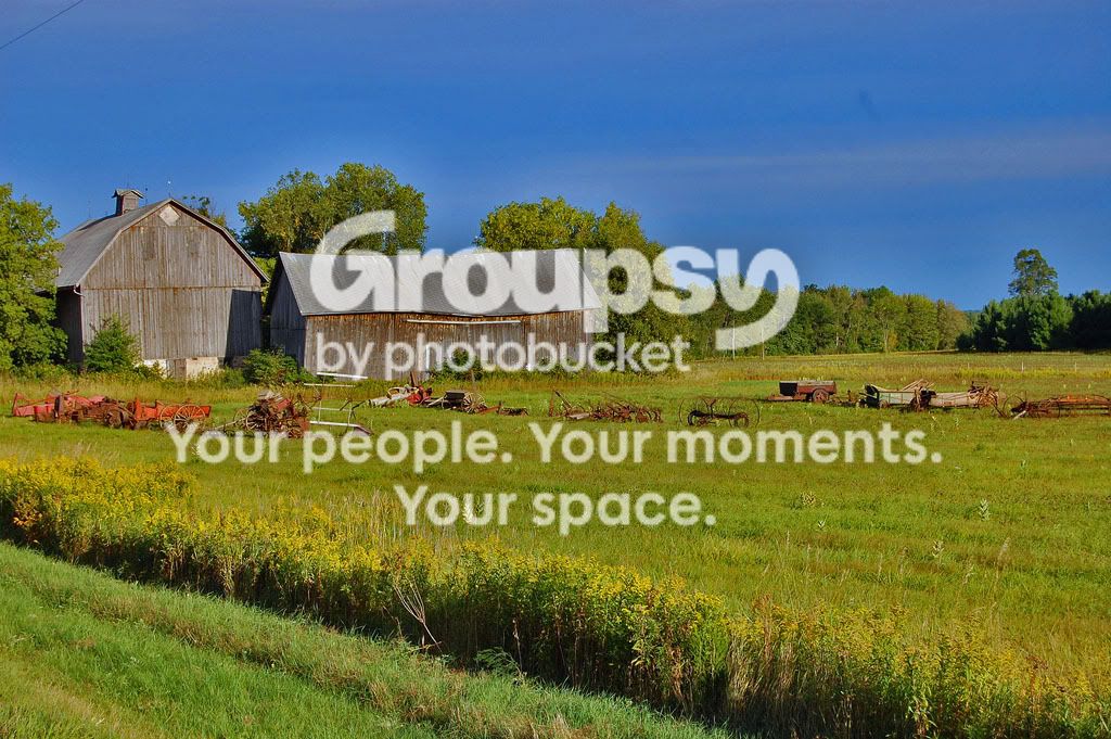 pastoral1edited.jpg