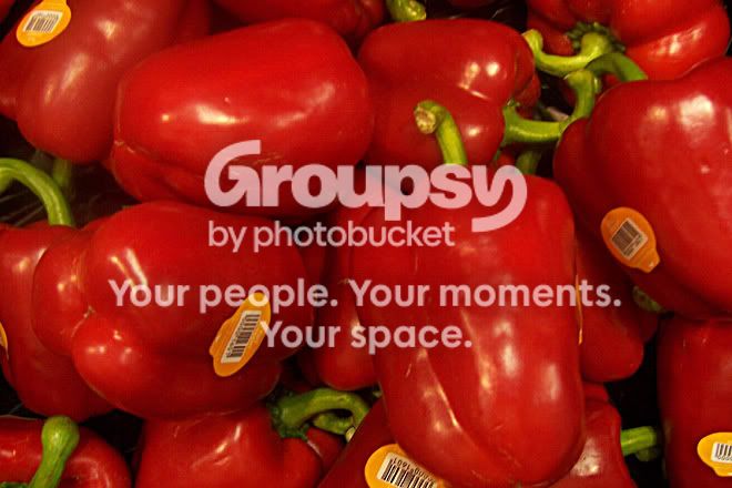 100_1113.jpg