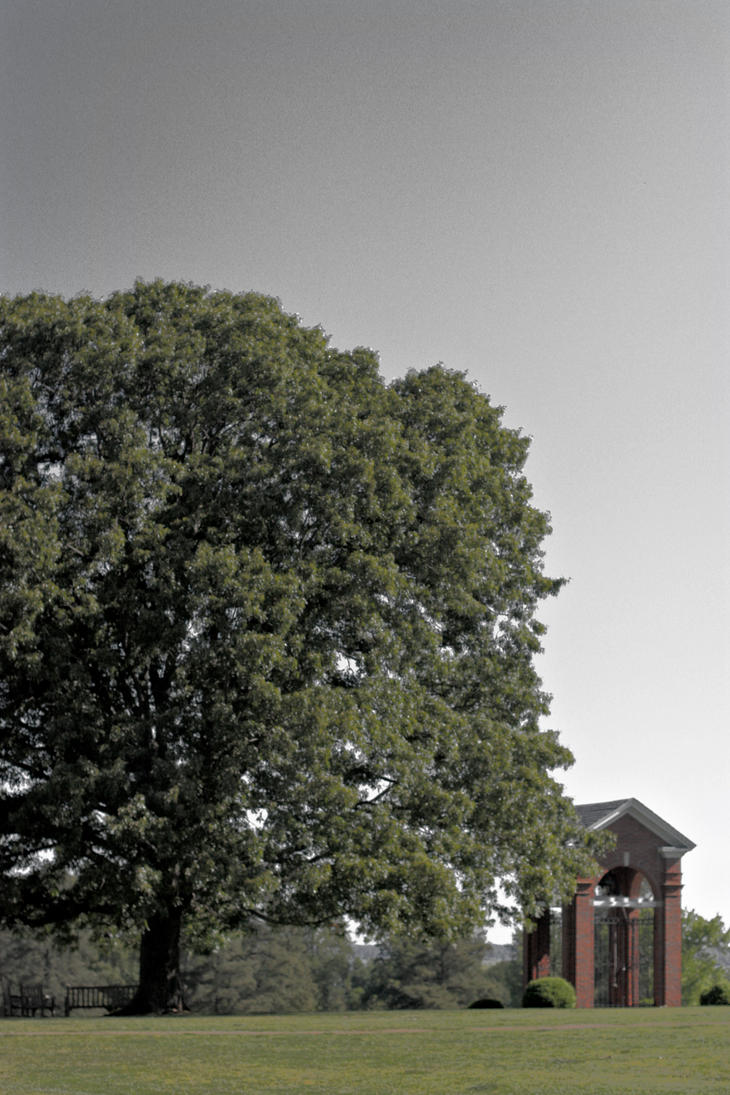 darken_sky_over_the_bell_by_er111a-d3g01x7.jpg
