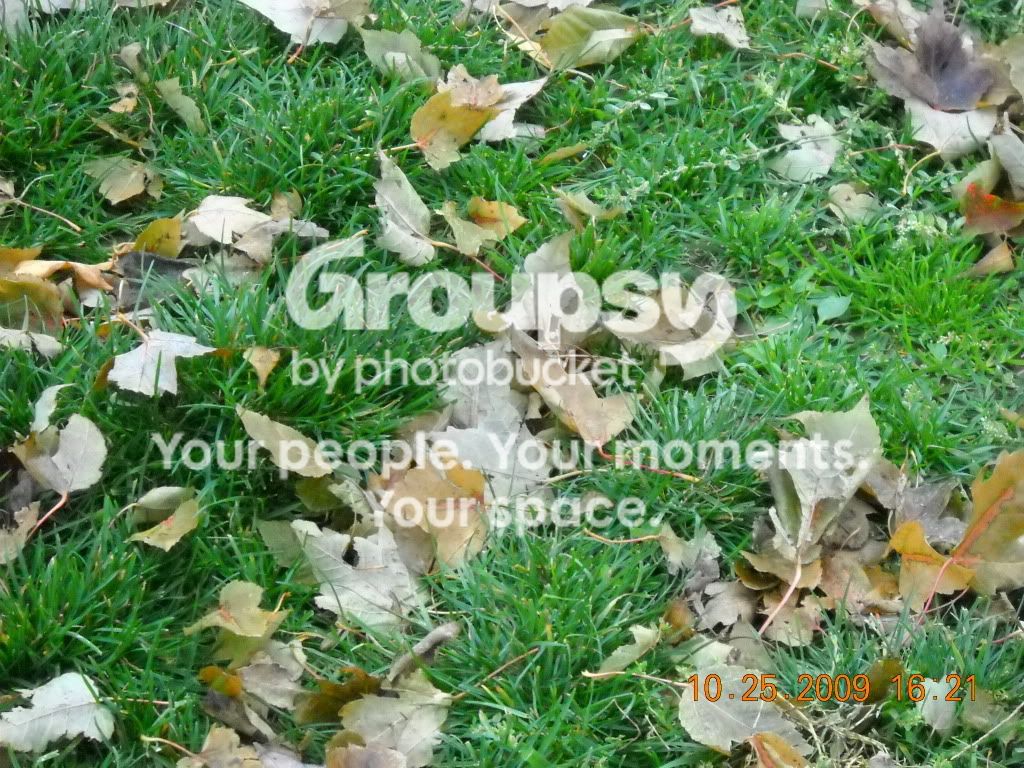DSCN0941-1.jpg