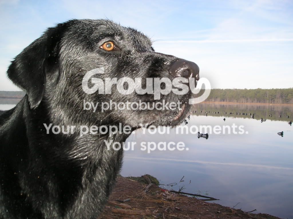 08YouthHunt005.jpg