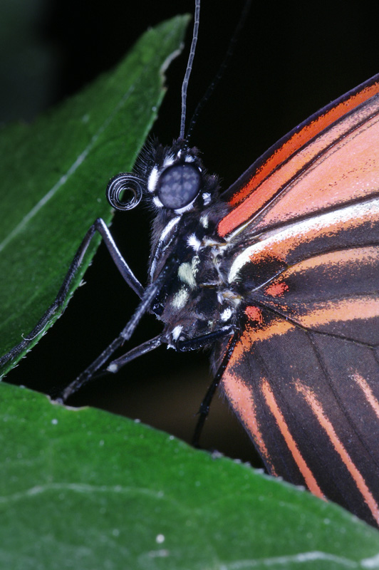 zoo08.jpg