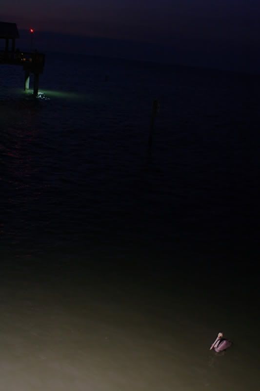 florida014.jpg