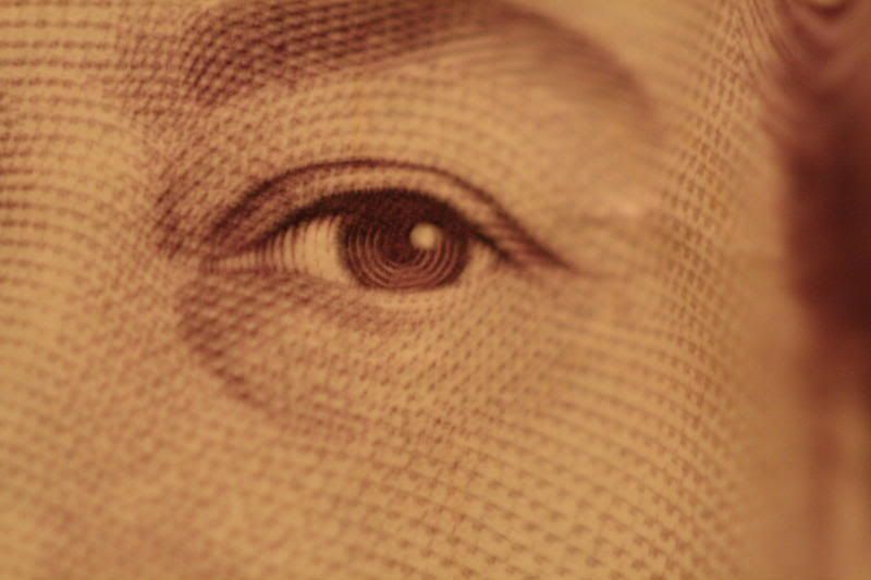 macro006.jpg