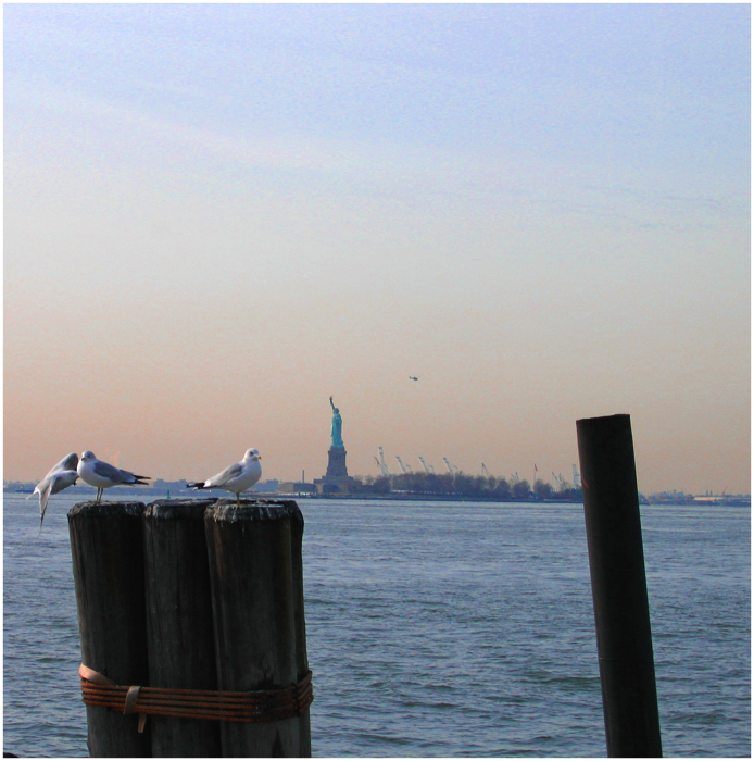 new_york_new_york_by_Paperback_writer_00.jpg
