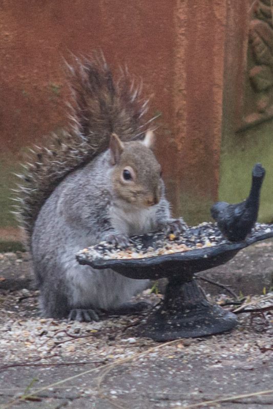 Bfast-2.jpg