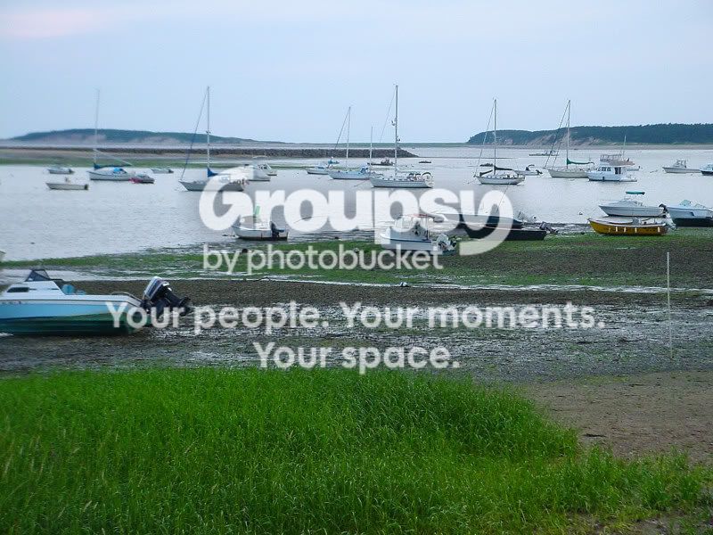 Wellfleet10120965websize.jpg