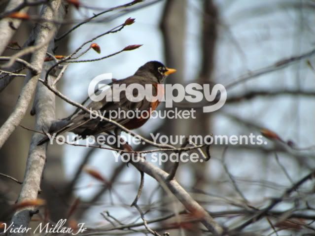 Picture425-1-1.jpg