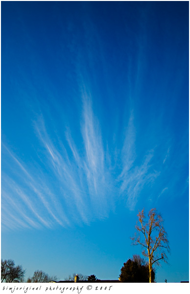 wispy03.jpg