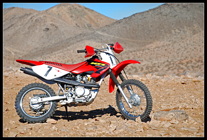 DSC_0091ppweb.png