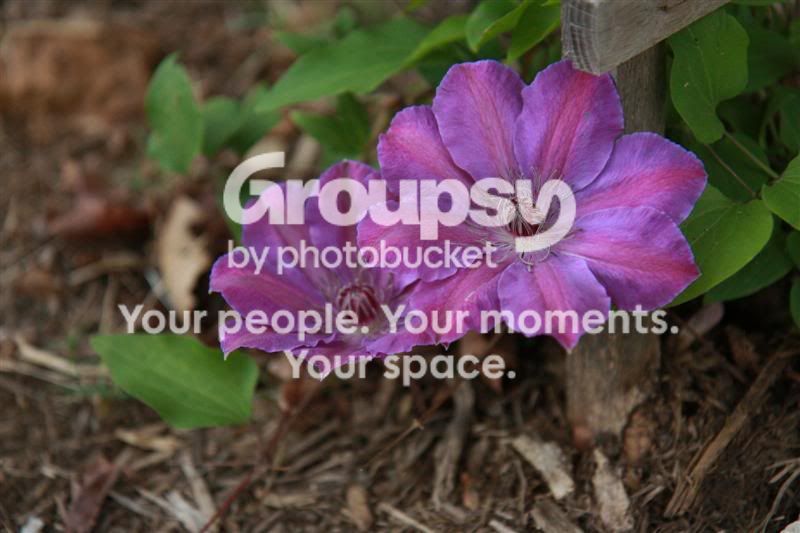 IMG_1526Medium.jpg