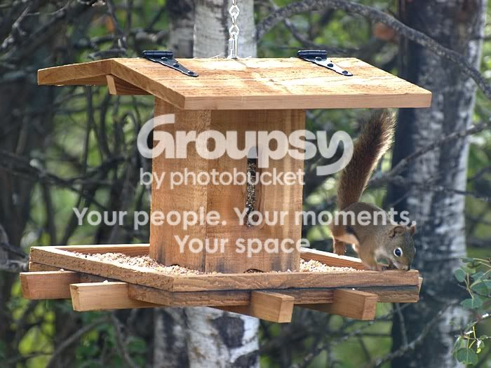 Lookoutdownbelow.jpg