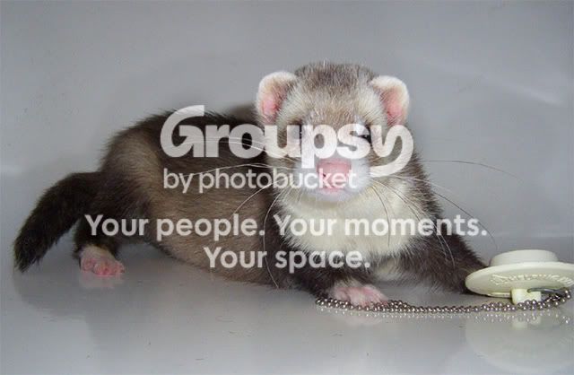 georgetub01.jpg