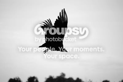 myspace9.jpg