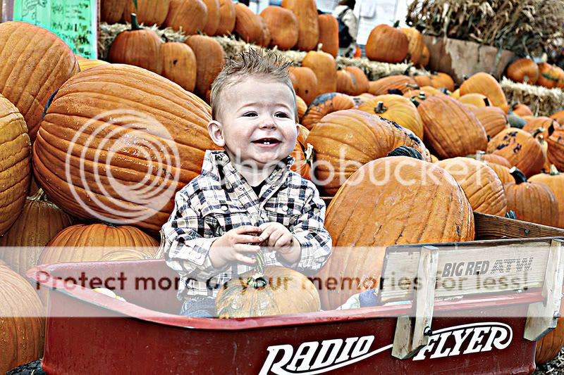 IMG_2888aweb.jpg