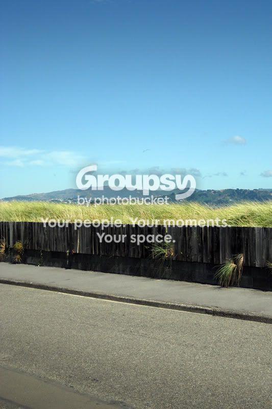 grassleaking1-1.jpg