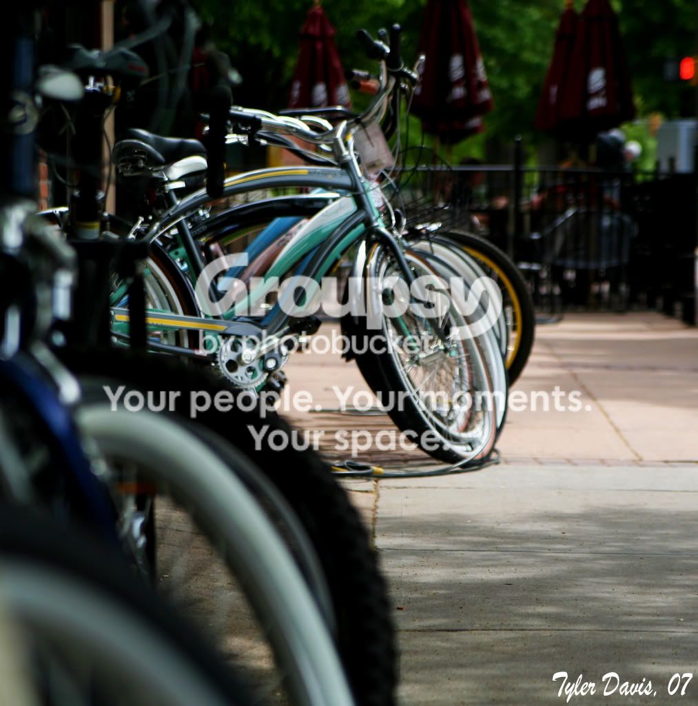 Bikes.jpg