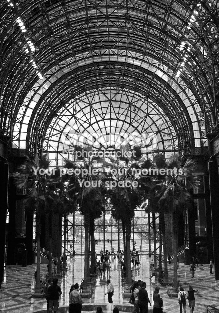 PalmTreesinGlass.jpg