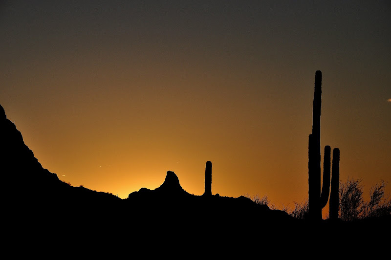 DSC_0003_1.jpg