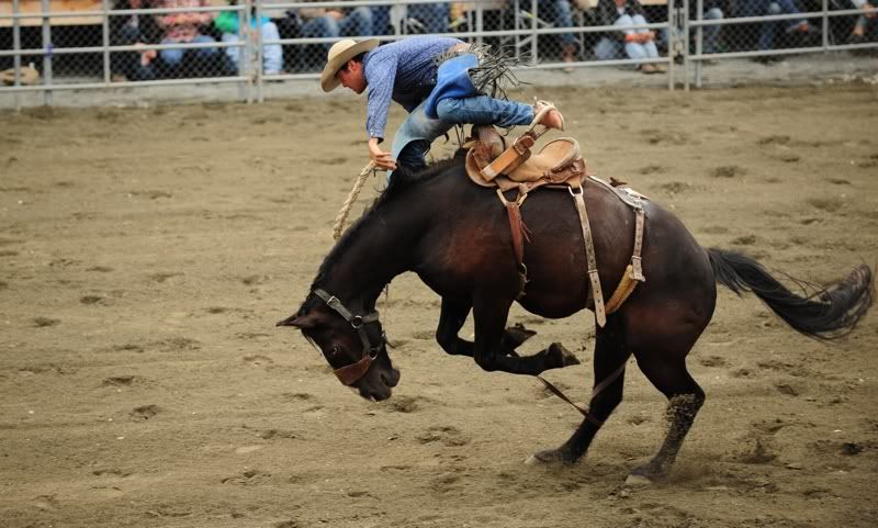 DSC_5680web.jpg
