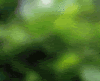 1a18c512.gif
