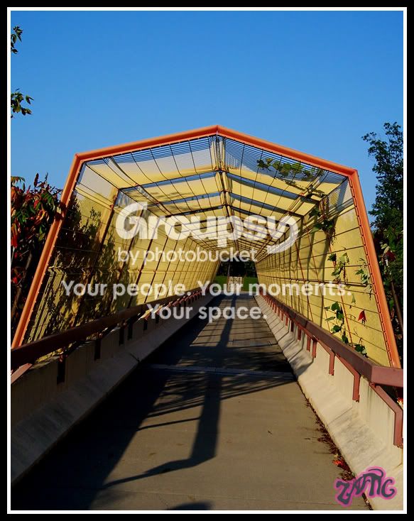 bridge.jpg