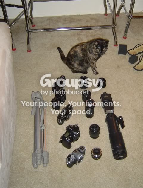 poops.jpg