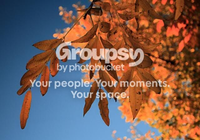 Sundayflash_MG_4427.jpg