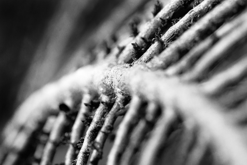 5562599165_a0e7bb55d2_b.jpg