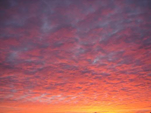 orangesunrise3.jpg
