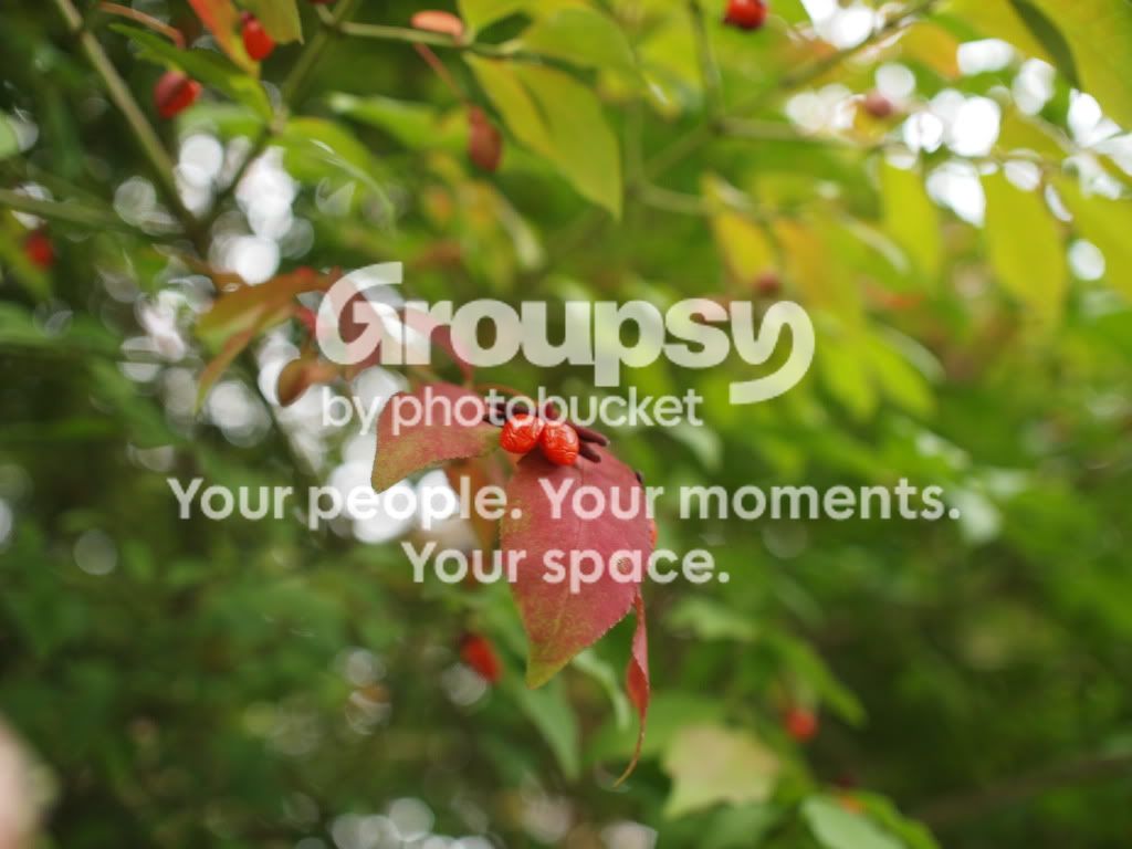 PA110110.jpg
