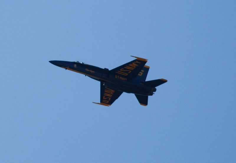 BlueAngelssmall6.jpg